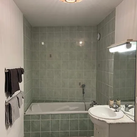 Hygge Colmar - T2 Climatise Proche Centre Ville Parking Gratuit דירה קולמר