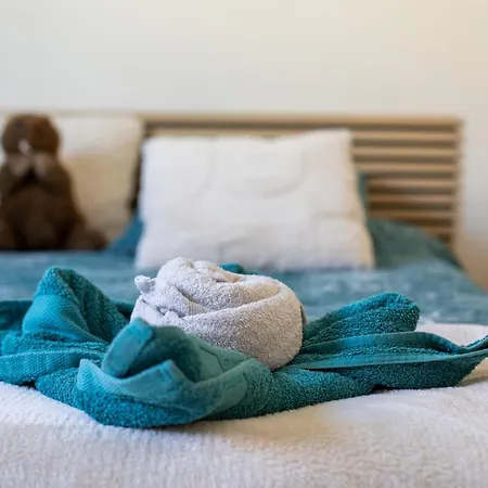 Hygge - T2 Climatise Proche Centre Parking Gratuit Apartment *