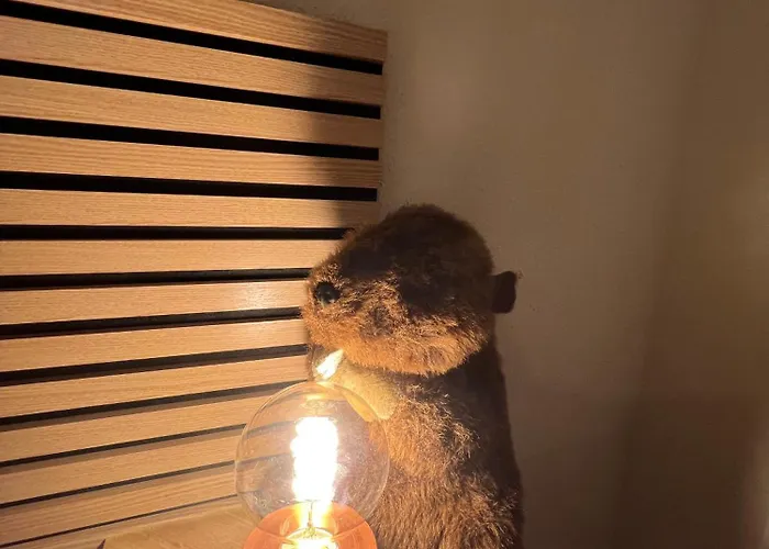 Hygge - Proche Centre Parking Gratuit * Colmar